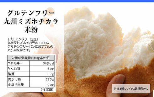 【パン・クッキー用】九州ミズホチカラ米粉 300g【グルテンフリー】